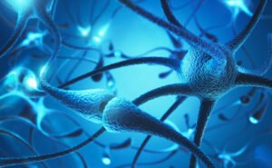 Połączenia neuronowe w mózgu. Jak zmienić nastawienie do życia dzięki neuroplastyczności mózgu
