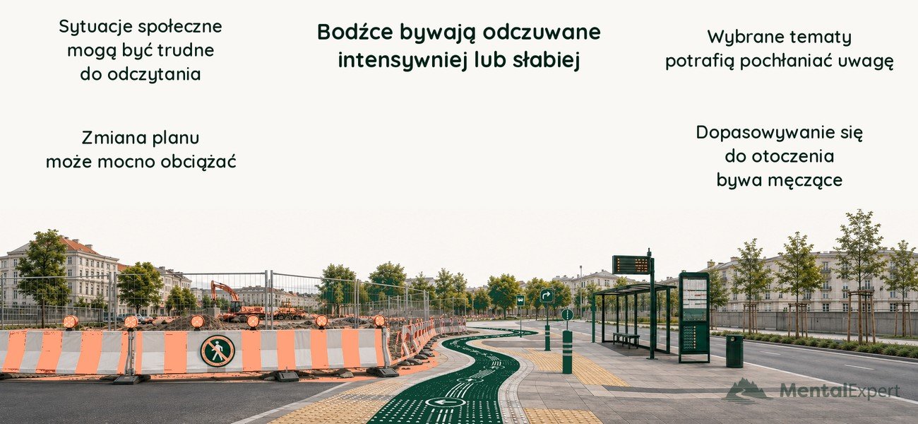 Obszary funkcjonowania w spektrum autyzmu